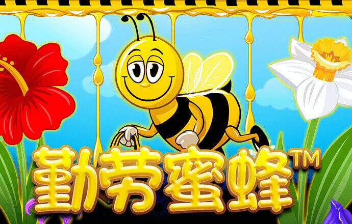 8000cc官网下载